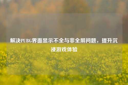 解决PUBG界面显示不全与非全屏问题,提升沉浸游戏体验