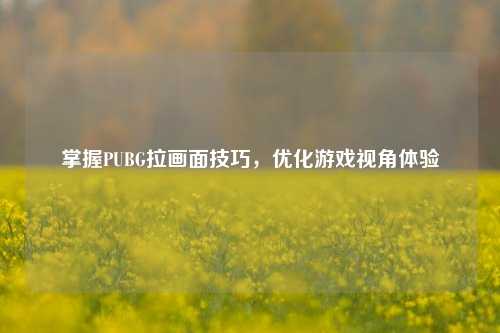 掌握PUBG拉画面技巧,优化游戏视角体验