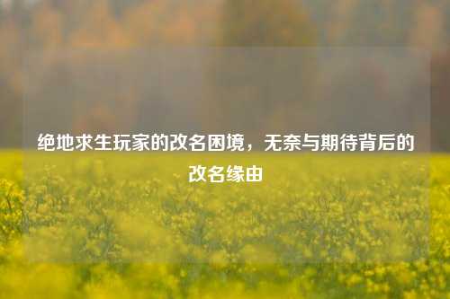 绝地求生玩家的改名困境，无奈与期待背后的改名缘由