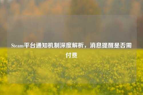 Steam平台通知机制深度解析,消息提醒是否需付费