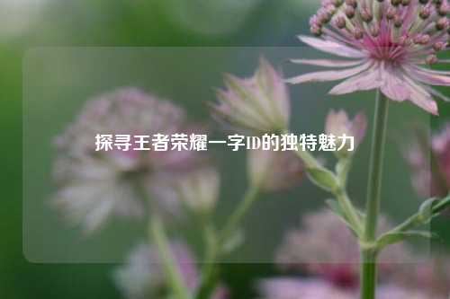 探寻王者荣耀一字ID的独特魅力