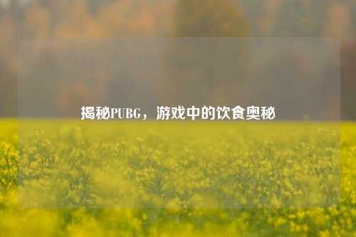揭秘PUBG，游戏中的饮食奥秘