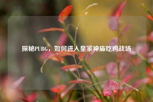 探秘PUBG,如何进入皇家神庙吃鸡战场