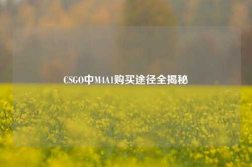 CSGO中M4A1购买途径全揭秘