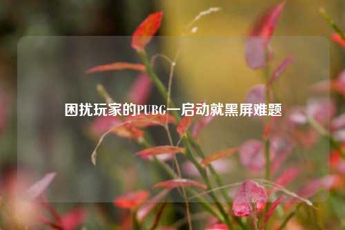 困扰玩家的PUBG一启动就黑屏难题