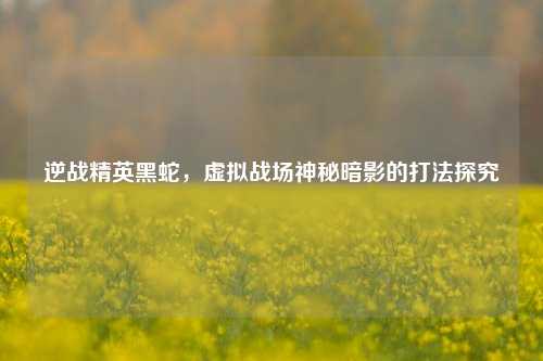逆战精英黑蛇,虚拟战场神秘暗影的打法探究
