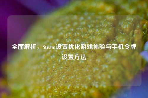 全面解析,Steam设置优化游戏体验与手机令牌设置方法