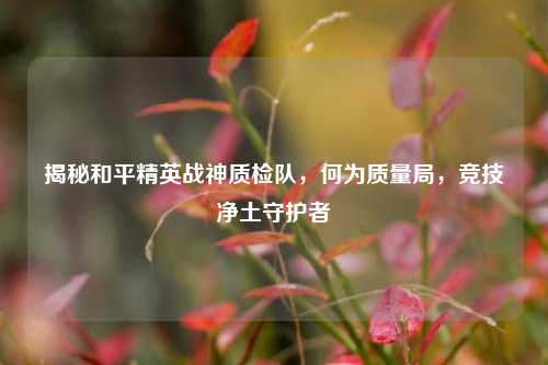 揭秘和平精英战神质检队,何为质量局,竞技净土守护者
