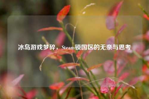 冰岛游戏梦碎,Steam锁国区的无奈与思考
