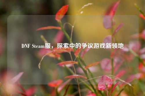 DNF Steam服,探索中的争议游戏新领地