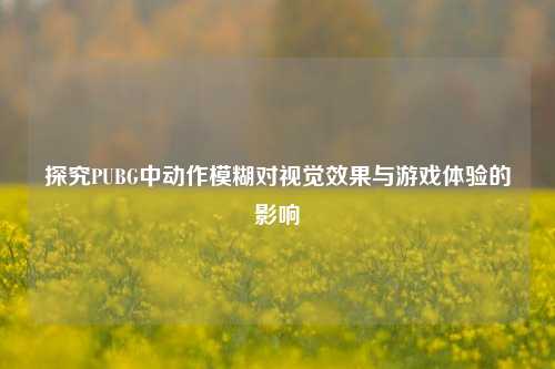 探究PUBG中动作模糊对视觉效果与游戏体验的影响