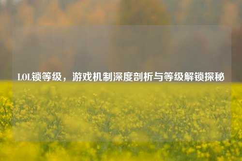 LOL锁等级，游戏机制深度剖析与等级解锁探秘