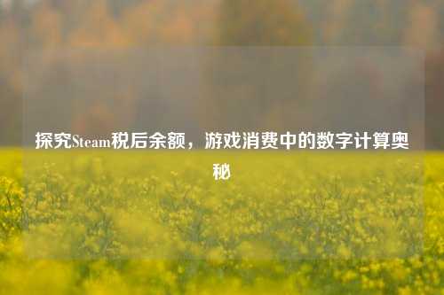 探究Steam税后余额，游戏消费中的数字计算奥秘