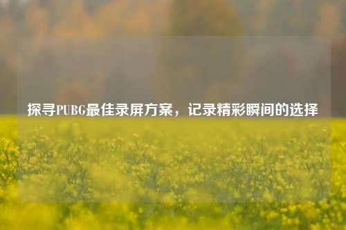 探寻PUBG最佳录屏方案，记录精彩瞬间的选择