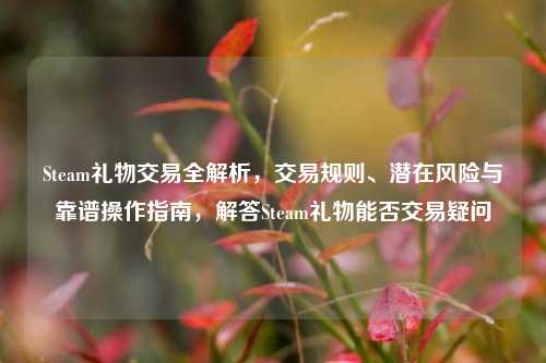 Steam礼物交易全解析,交易规则、潜在风险与靠谱操作指南,解答Steam礼物能否交易疑问