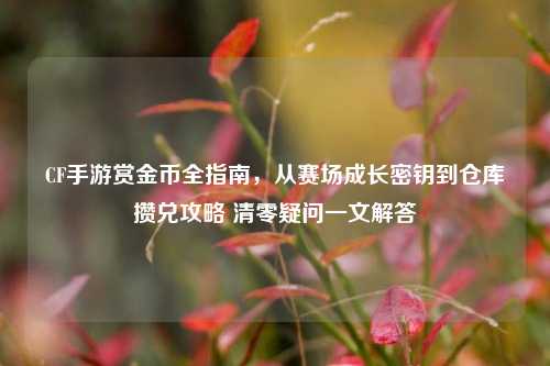 CF手游赏金币全指南,从赛场成长密钥到仓库攒兑攻略 清零疑问一文解答