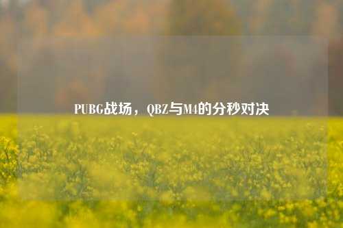 PUBG战场,QBZ与M4的分秒对决