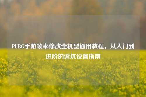 PUBG手游帧率修改全机型通用教程，从入门到进阶的避坑设置指南