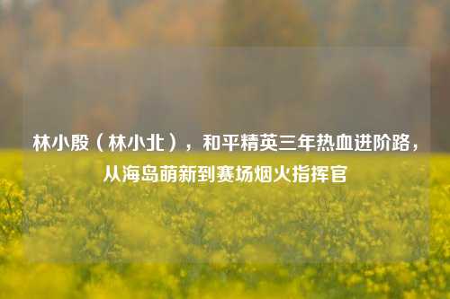 林小殷（林小北），和平精英三年热血进阶路，从海岛萌新到赛场烟火指挥官
