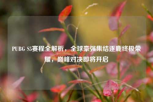 PUBG S5赛程全解析,全球豪强集结逐鹿终极荣耀,巅峰对决即将开启