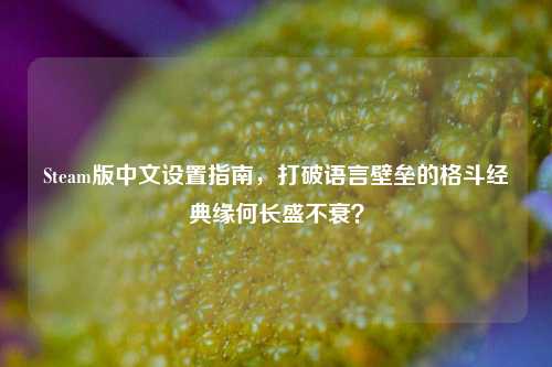 Steam版中文设置指南，打破语言壁垒的格斗经典缘何长盛不衰？