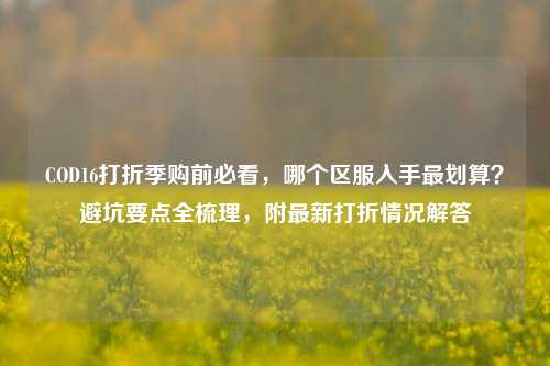 COD16打折季购前必看,哪个区服入手最划算?避坑要点全梳理,附最新打折情况解答