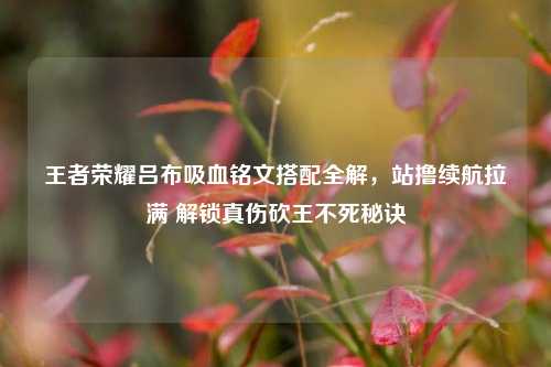 王者荣耀吕布吸血铭文搭配全解，站撸续航拉满 解锁真伤砍王不死秘诀