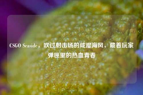 CSGO Seaside,吹过射击场的咸湿海风,藏着玩家弹匣里的热血青春