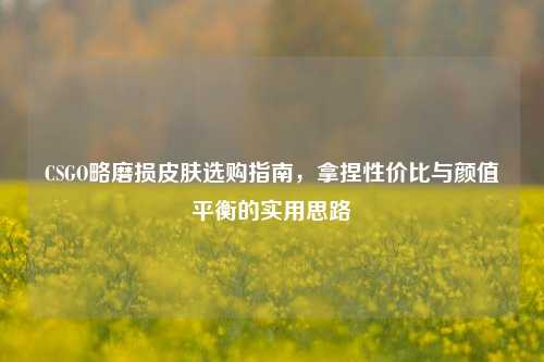 CSGO略磨损皮肤选购指南,拿捏性价比与颜值平衡的实用思路