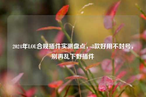2024年LOL合规插件实测盘点,3款好用不封号,别再乱下野插件
