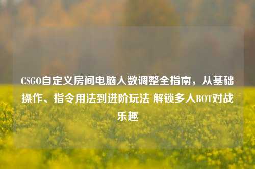 CSGO自定义房间电脑人数调整全指南,从基础操作、指令用法到进阶玩法 解锁多人BOT对战乐趣