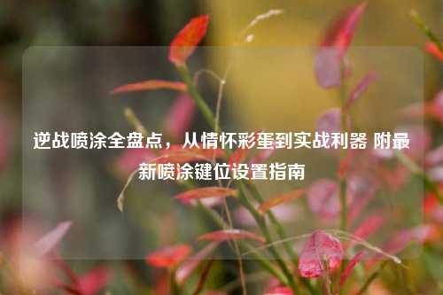 逆战喷涂全盘点,从情怀彩蛋到实战利器 附最新喷涂键位设置指南