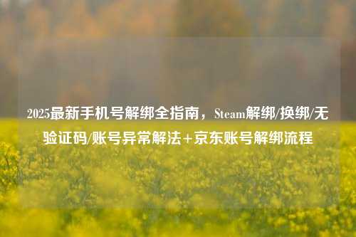 2025最新手机号解绑全指南,Steam解绑/换绑/无验证码/账号异常解法+京东账号解绑流程