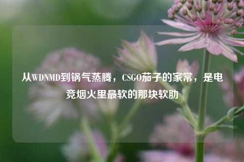 从WDNMD到锅气蒸腾，CSGO茄子的家常，是电竞烟火里最软的那块软肋