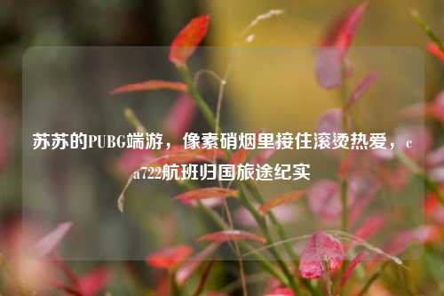 苏苏的PUBG端游,像素硝烟里接住滚烫热爱,ca722航班归国旅途纪实