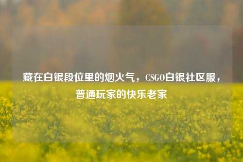 藏在白银段位里的烟火气，CSGO白银社区服，普通玩家的快乐老家