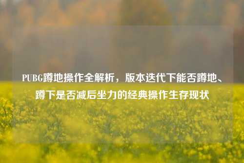 PUBG蹲地操作全解析，版本迭代下能否蹲地、蹲下是否减后坐力的经典操作生存现状