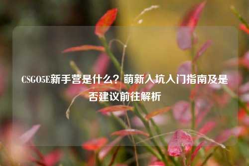 CSGO5E新手营是什么？萌新入坑入门指南及是否建议前往解析