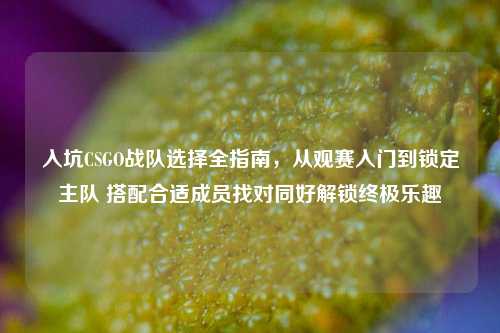 入坑CSGO战队选择全指南,从观赛入门到锁定主队 搭配合适成员找对同好解锁终极乐趣
