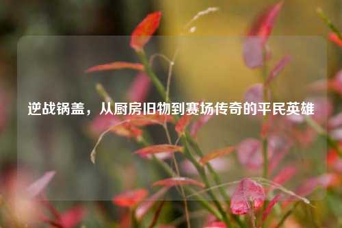 逆战锅盖，从厨房旧物到赛场传奇的平民英雄