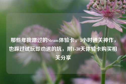 那些年我蹭过的Steam体验卡，3小时通关神作，也踩过试玩即劝退的坑，附1-30天体验卡购买相关分享