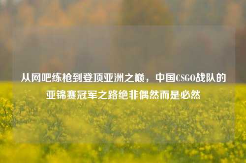 从网吧练枪到登顶亚洲之巅,中国CSGO战队的亚锦赛冠军之路绝非偶然而是必然