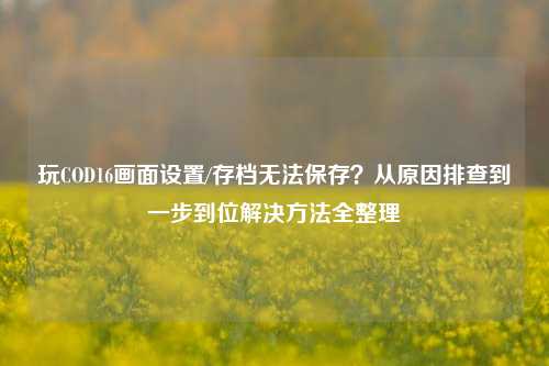 玩COD16画面设置/存档无法保存?从原因排查到一步到位解决方法全整理