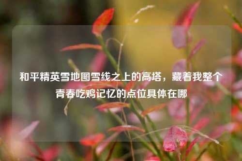 和平精英雪地图雪线之上的高塔，藏着我整个青春吃鸡记忆的点位具体在哪