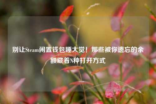 别让Steam闲置钱包睡大觉！那些被你遗忘的余额藏着N种打开方式