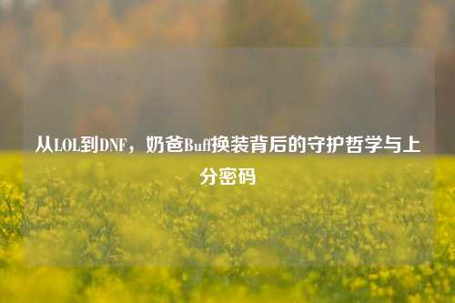 从LOL到DNF，奶爸Buff换装背后的守护哲学与上分密码