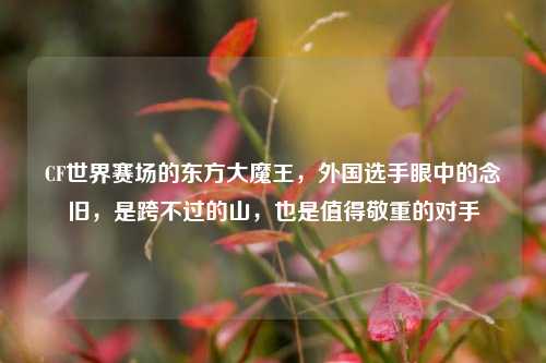 CF世界赛场的东方大魔王,外国选手眼中的念旧,是跨不过的山,也是值得敬重的对手
