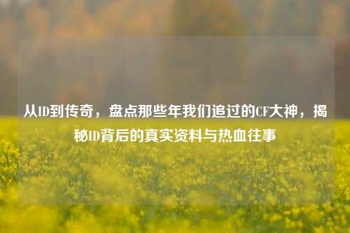 从ID到传奇,盘点那些年我们追过的CF大神,揭秘ID背后的真实资料与热血往事