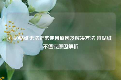 CSGO贴纸无法正常使用原因及解决方法 附贴纸不值钱原因解析