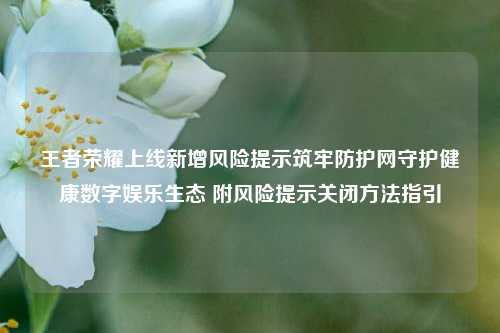 王者荣耀上线新增风险提示筑牢防护网守护健康数字娱乐生态 附风险提示关闭方法指引